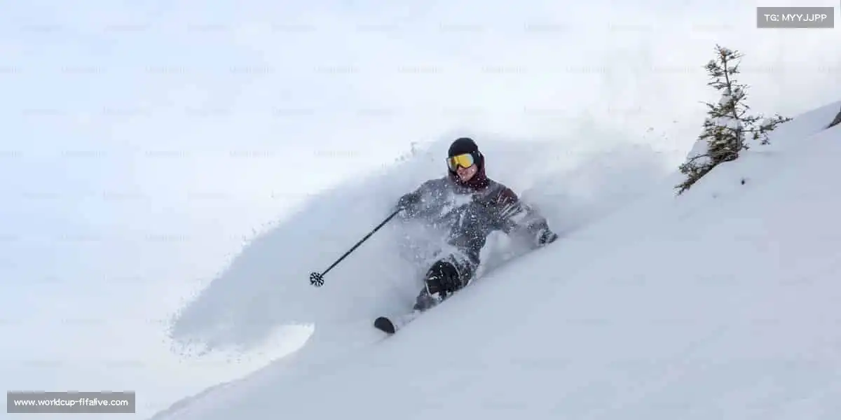 我们的品牌价值